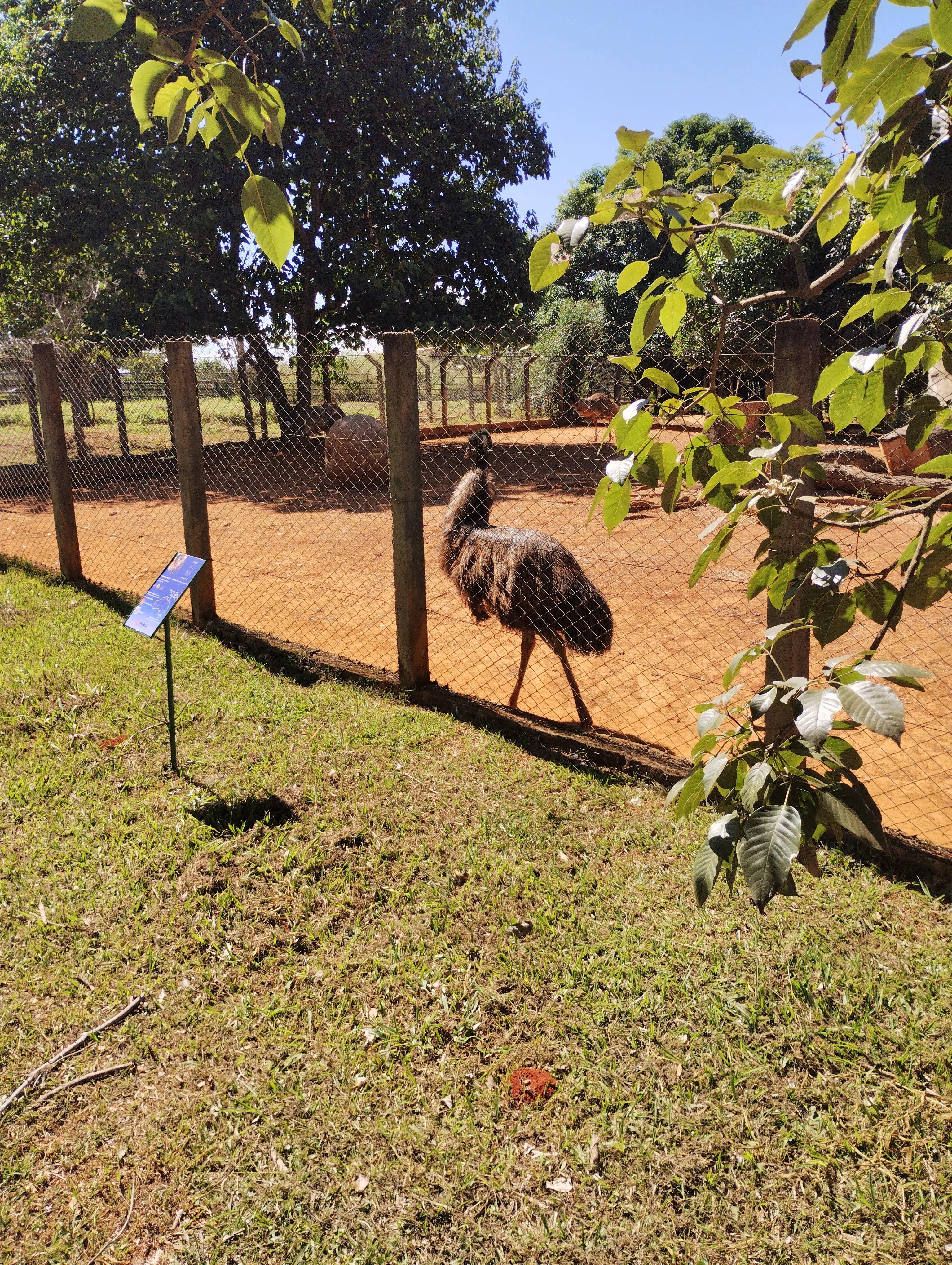 Zoológico de Brasília: um passeio que surgiu por acaso — foto 5
