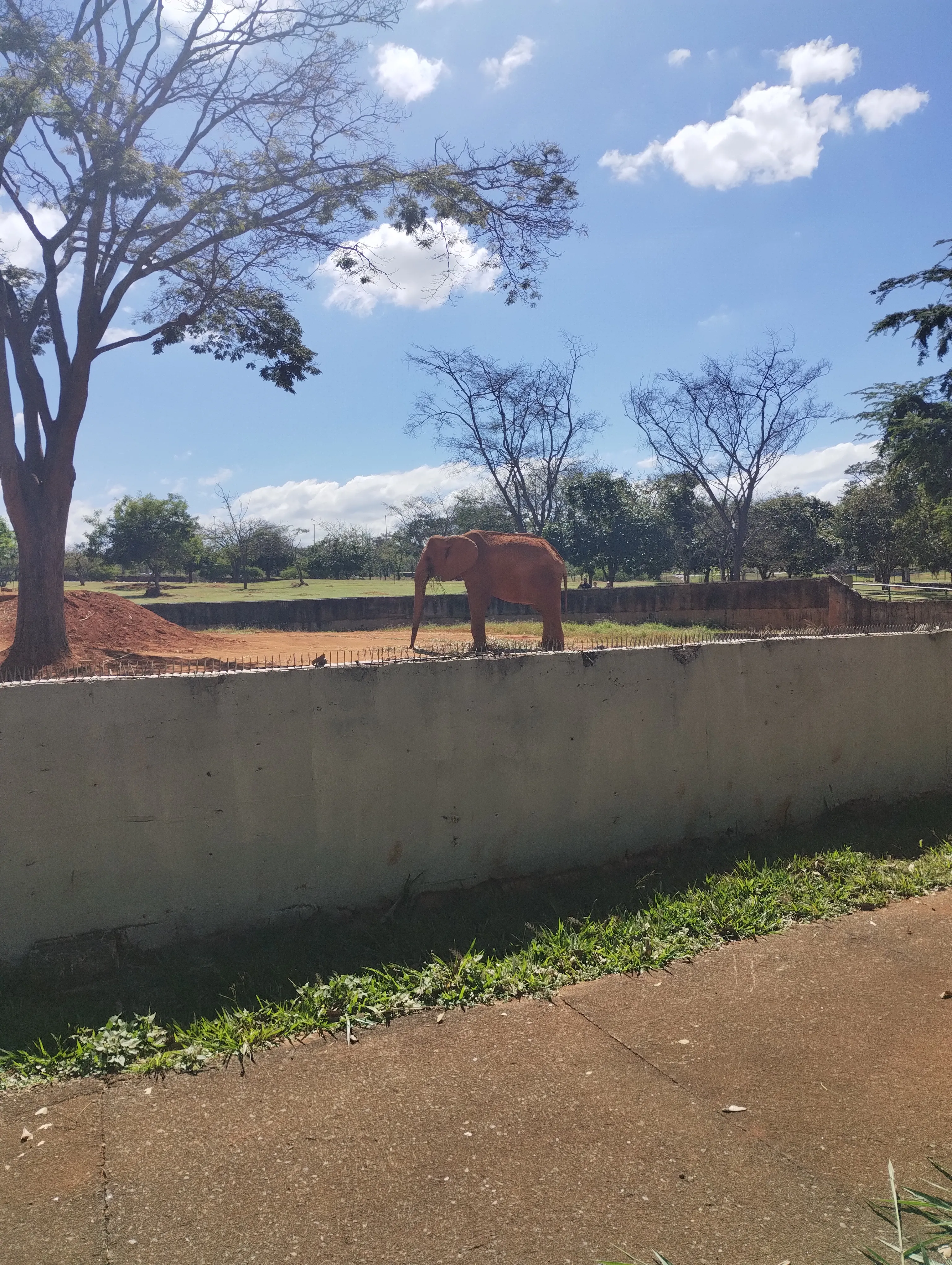 Zoológico de Brasília: um passeio que surgiu por acaso — foto 8