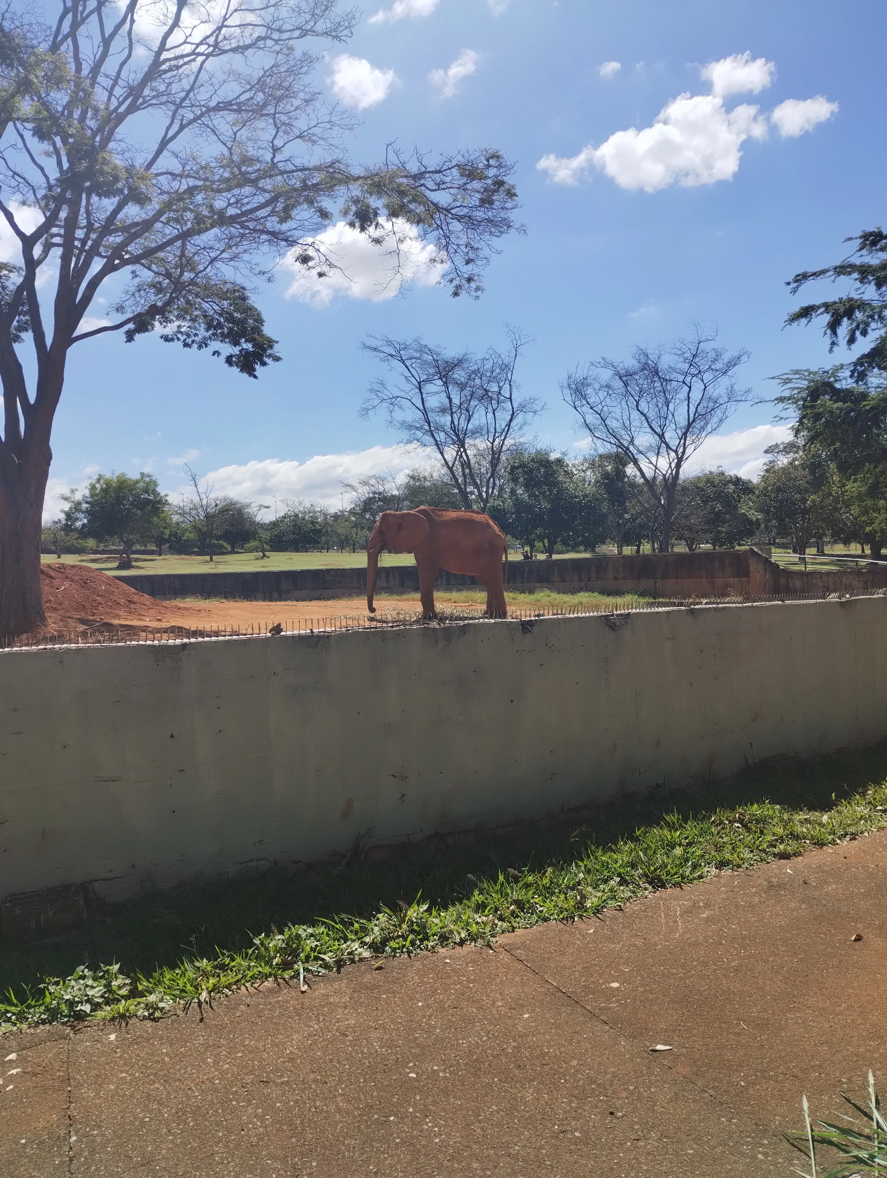 Zoológico de Brasília: um passeio que surgiu por acaso — foto 9