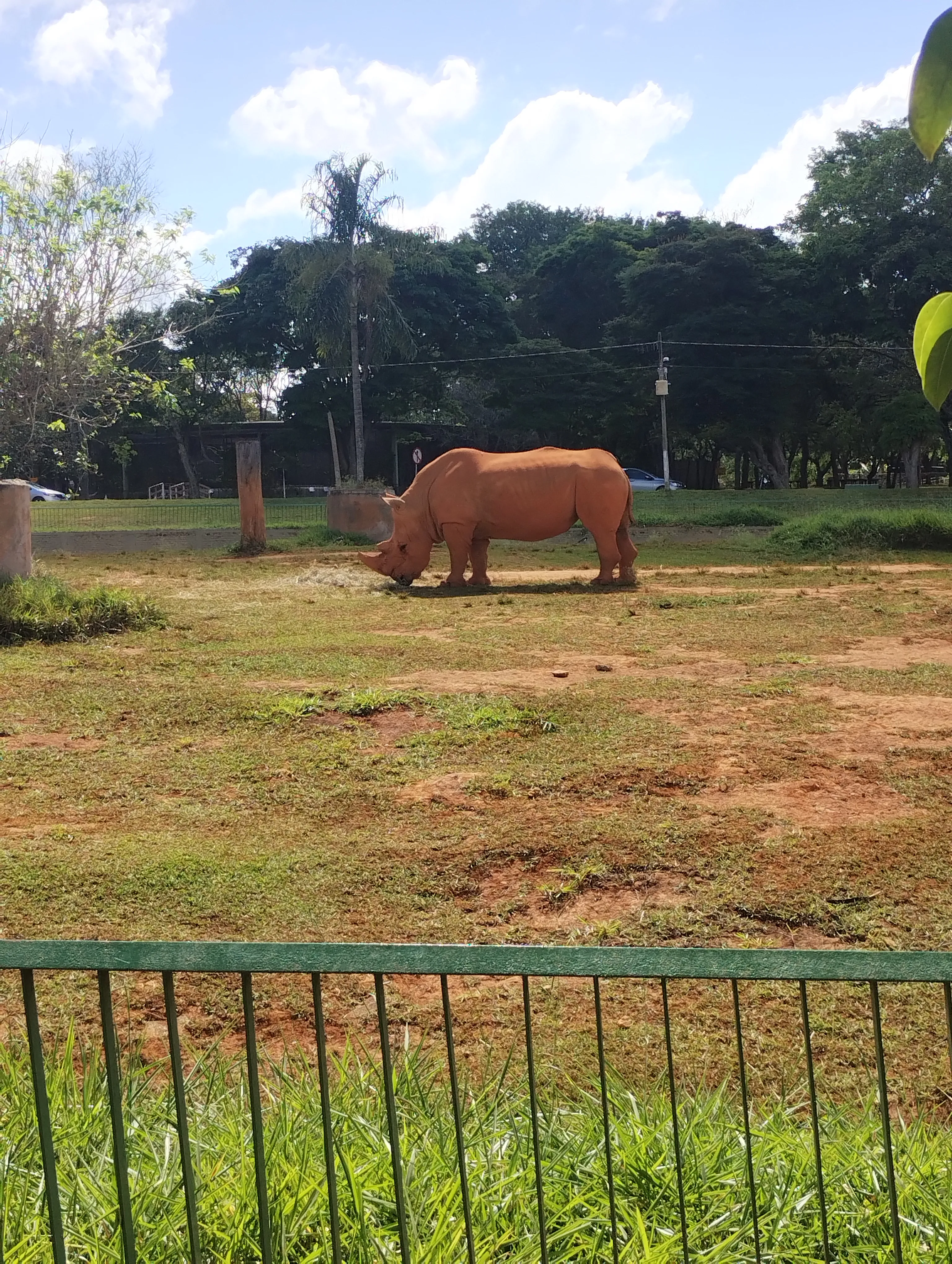 Zoológico de Brasília: um passeio que surgiu por acaso — foto 10