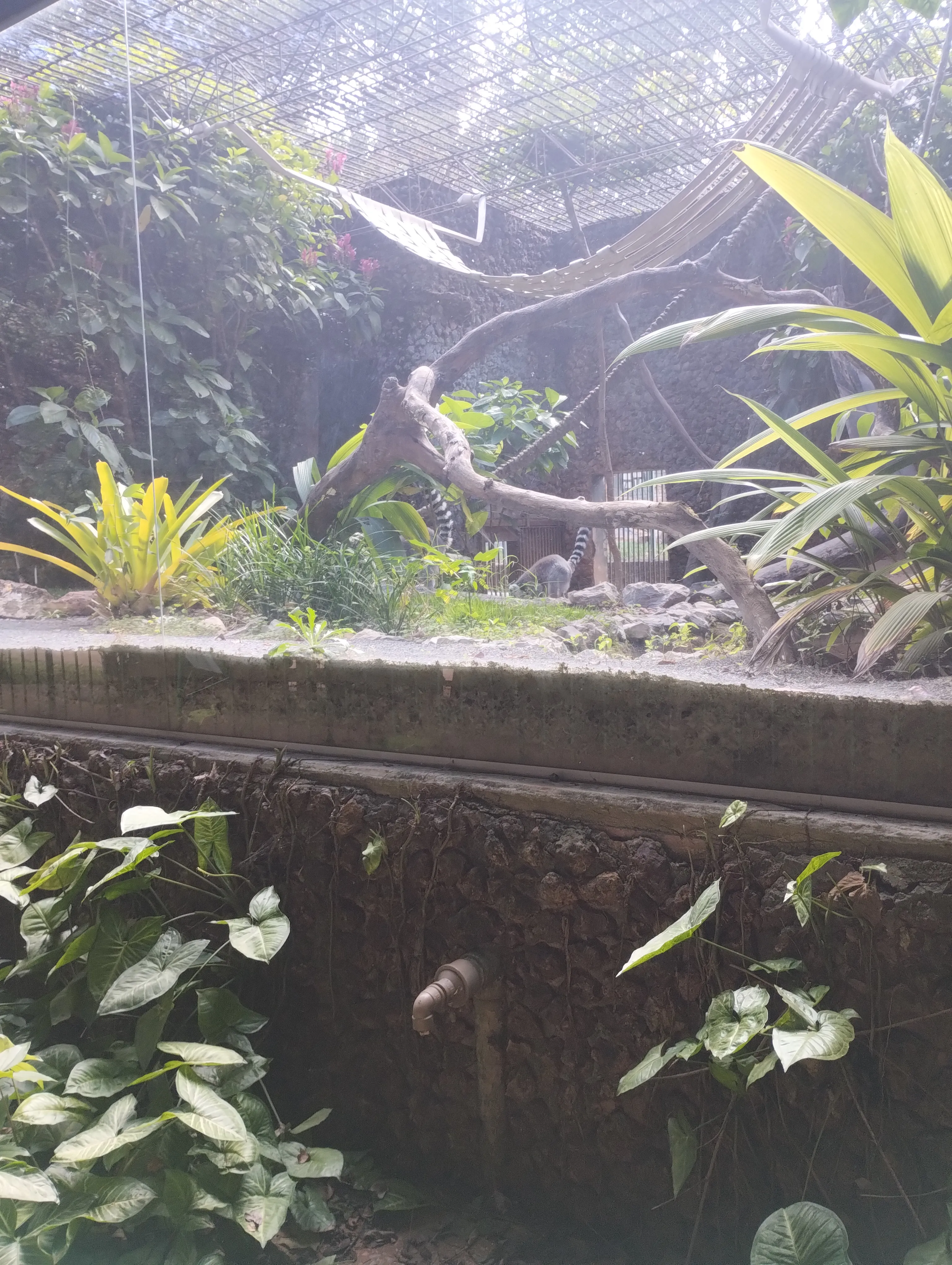 Zoológico de Brasília: um passeio que surgiu por acaso — foto 12