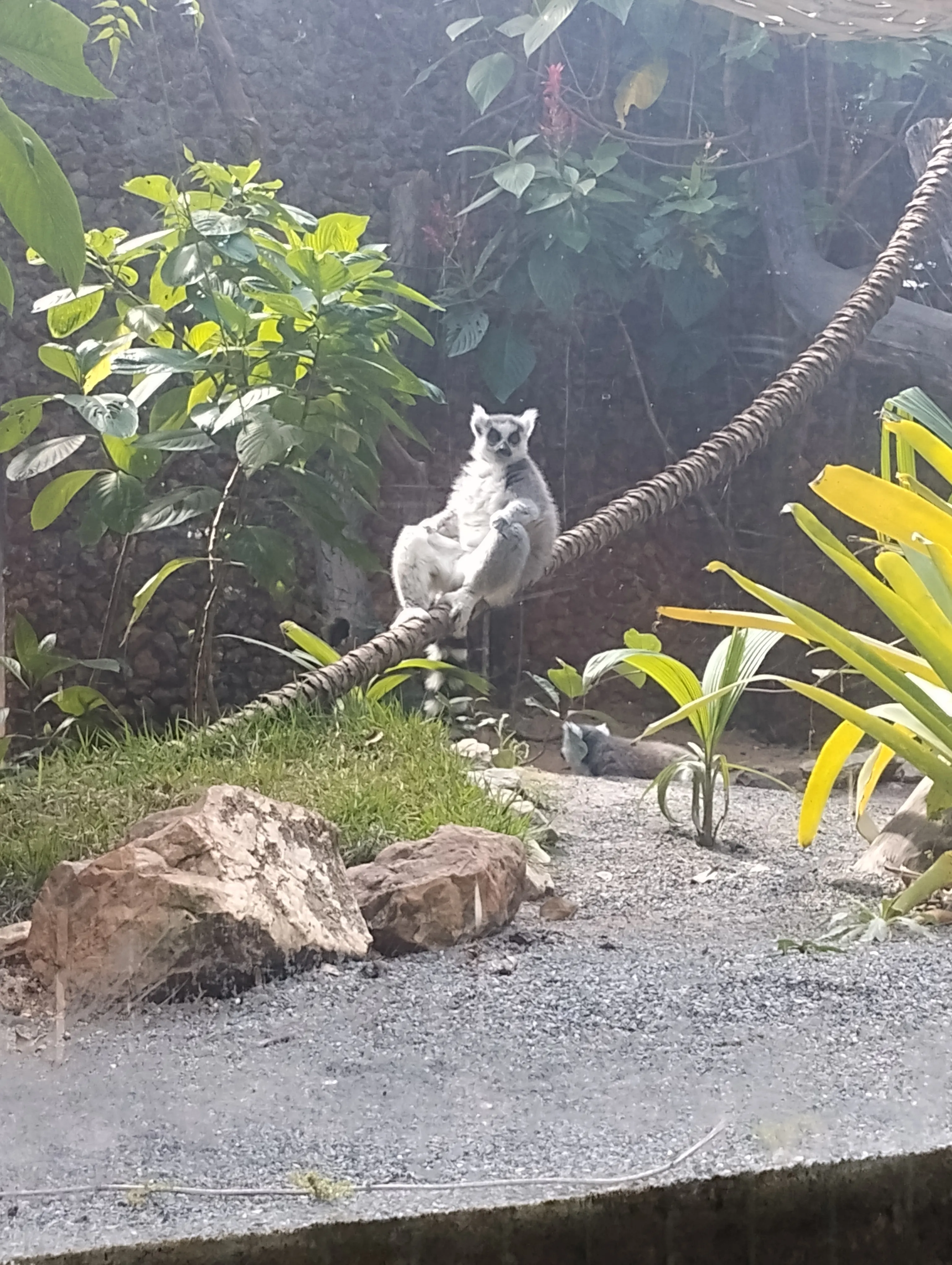Zoológico de Brasília: um passeio que surgiu por acaso — foto 13