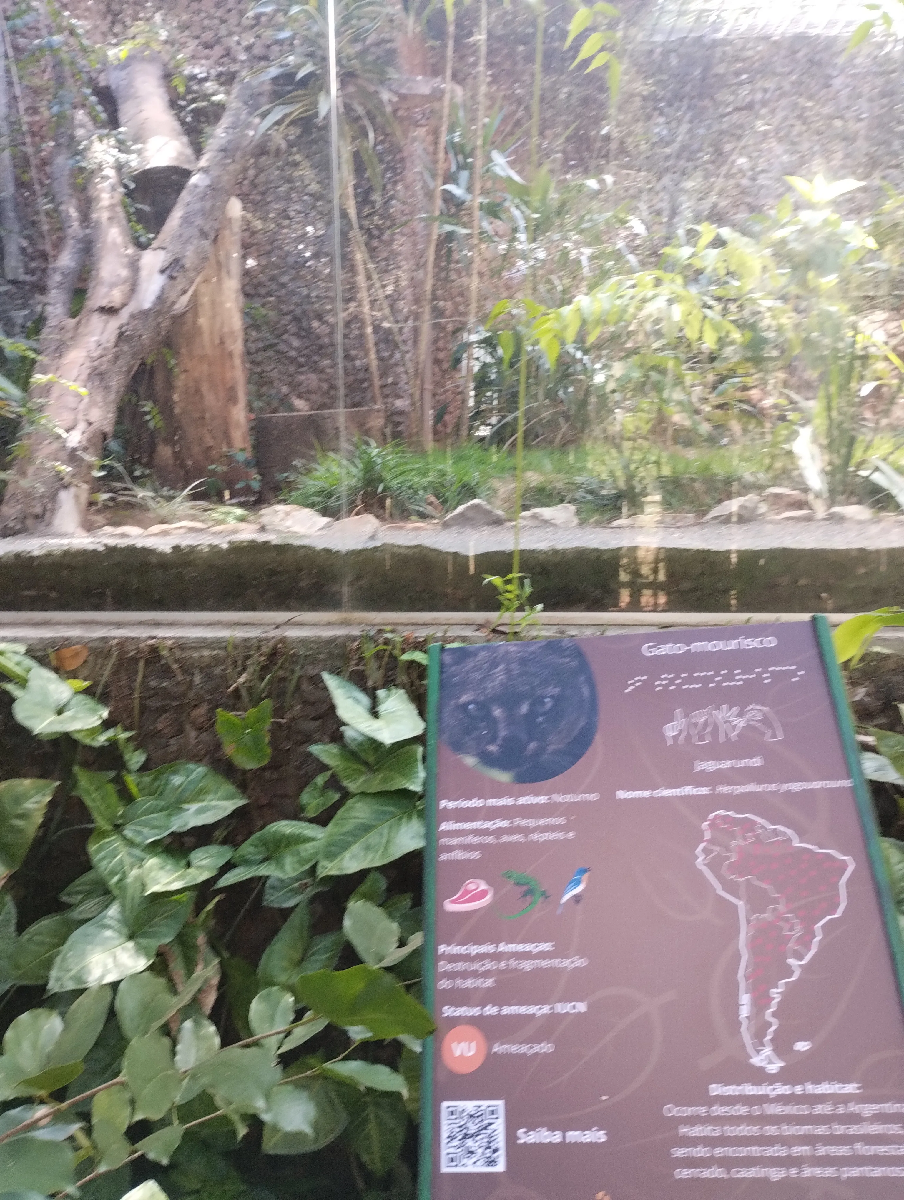 Zoológico de Brasília: um passeio que surgiu por acaso — foto 15
