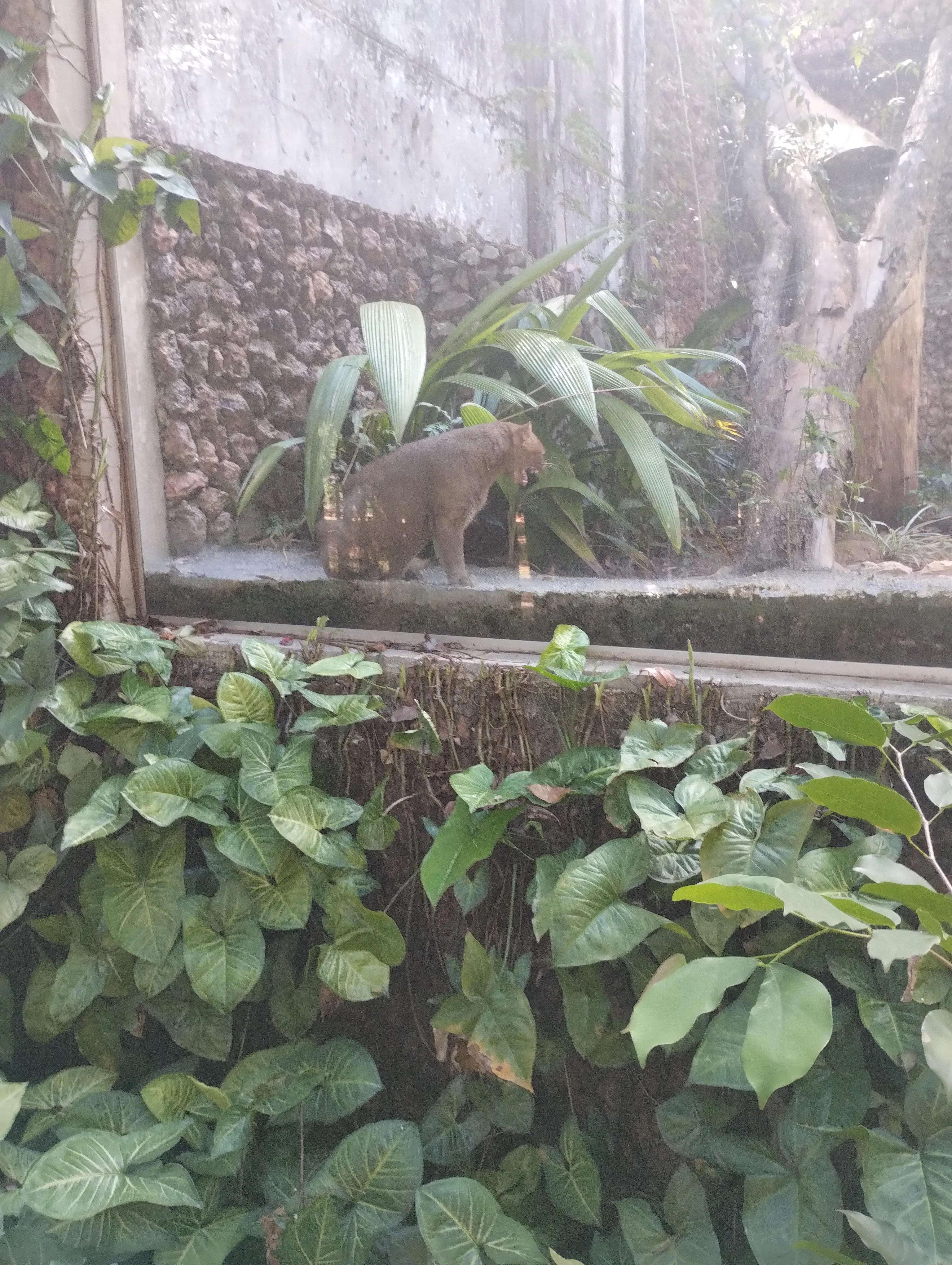 Zoológico de Brasília: um passeio que surgiu por acaso — foto 16