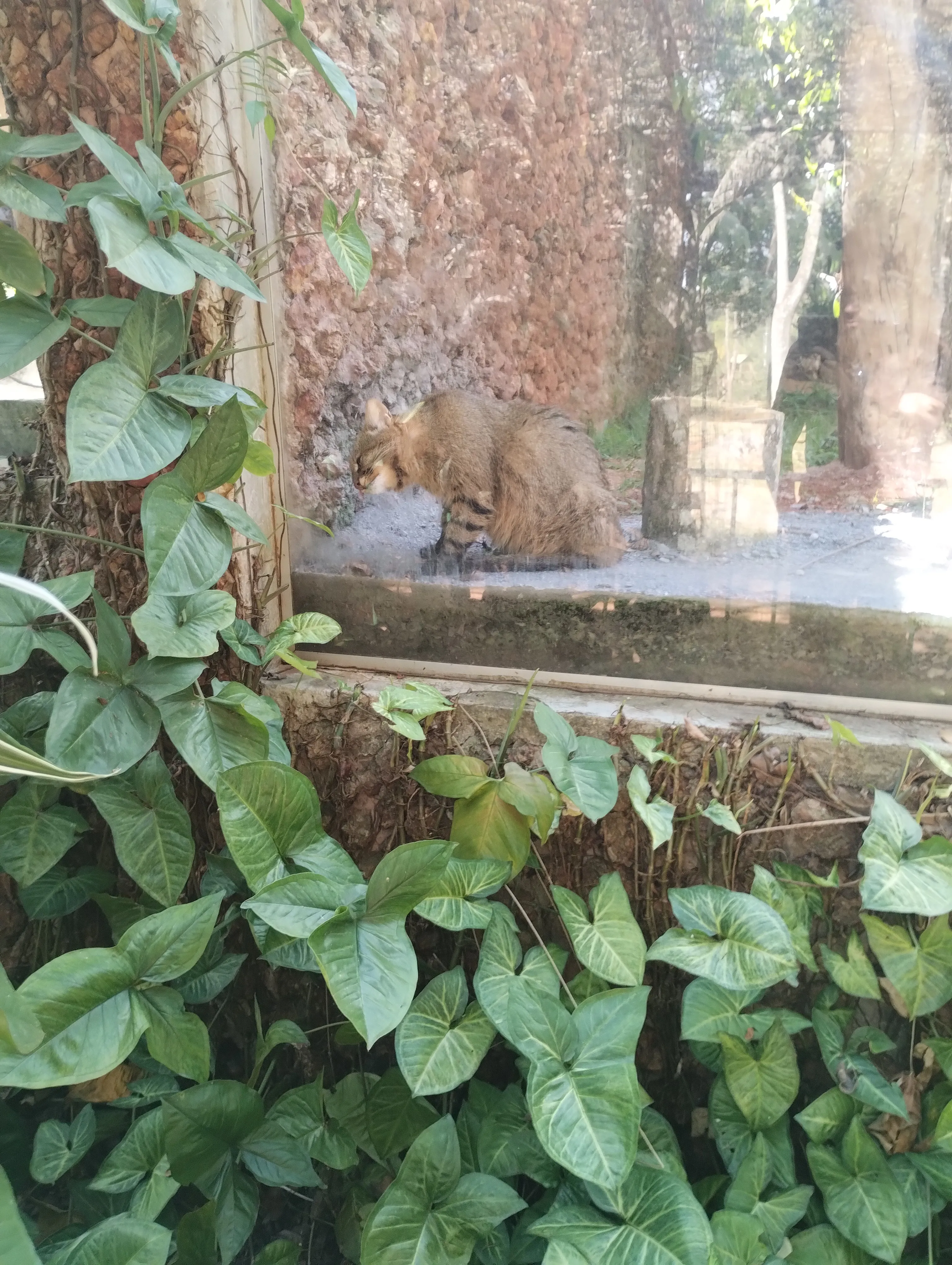 Zoológico de Brasília: um passeio que surgiu por acaso — foto 17