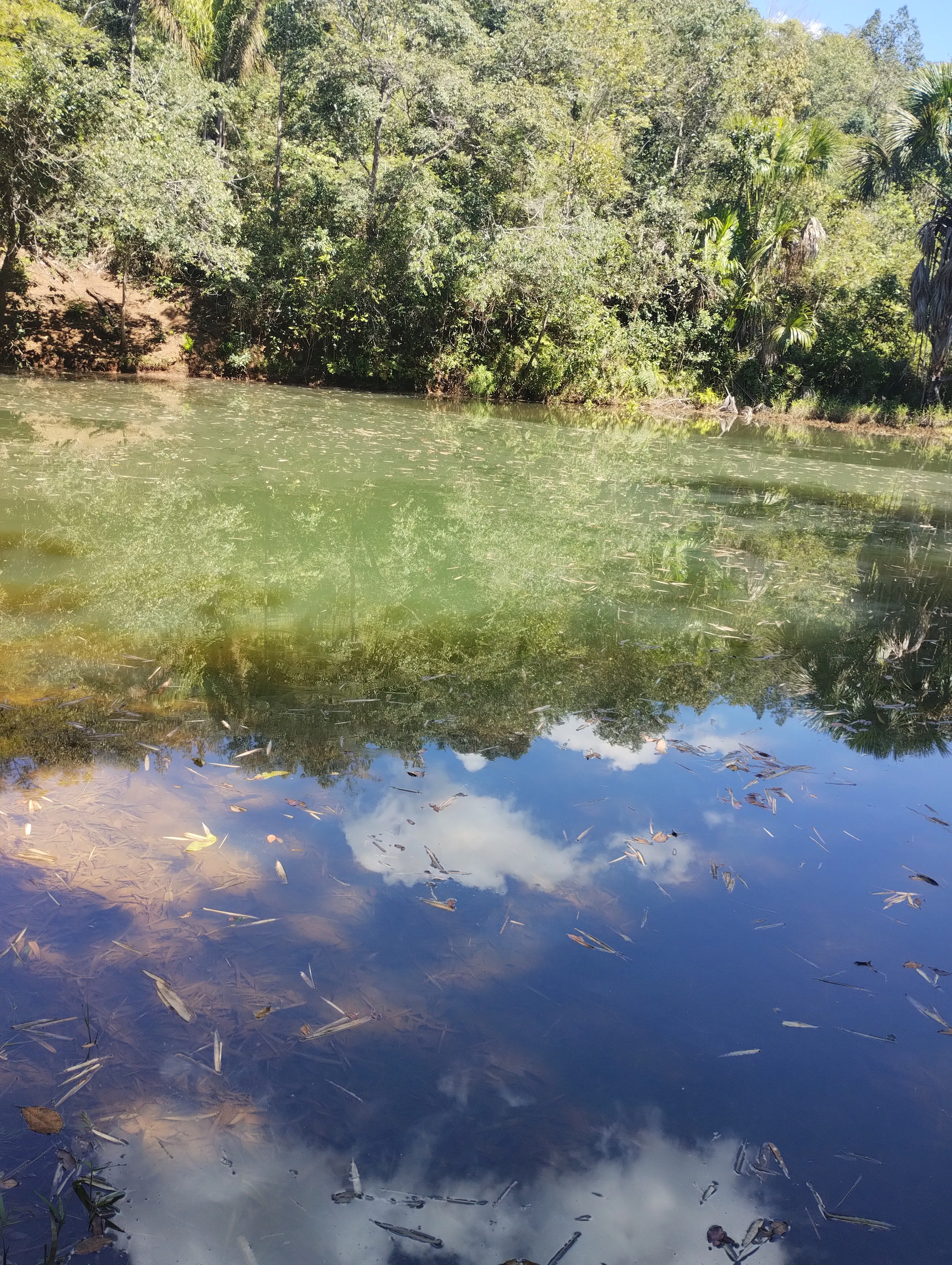 Cachoeira das Araras: natureza e aventura em Taquaruçu — foto 5