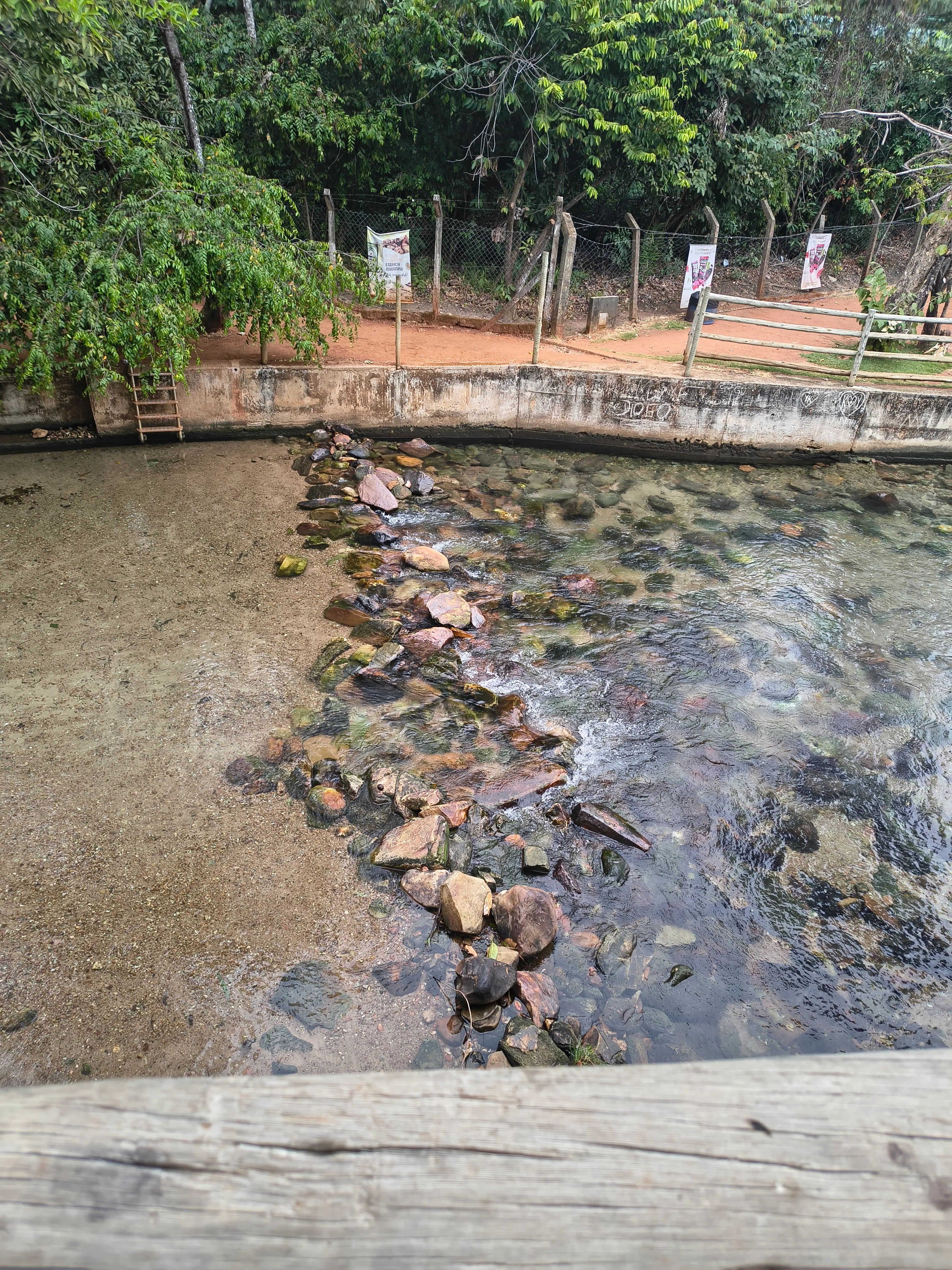 Esplanada Thermas Park: piscina natural de águas termais — foto 5
