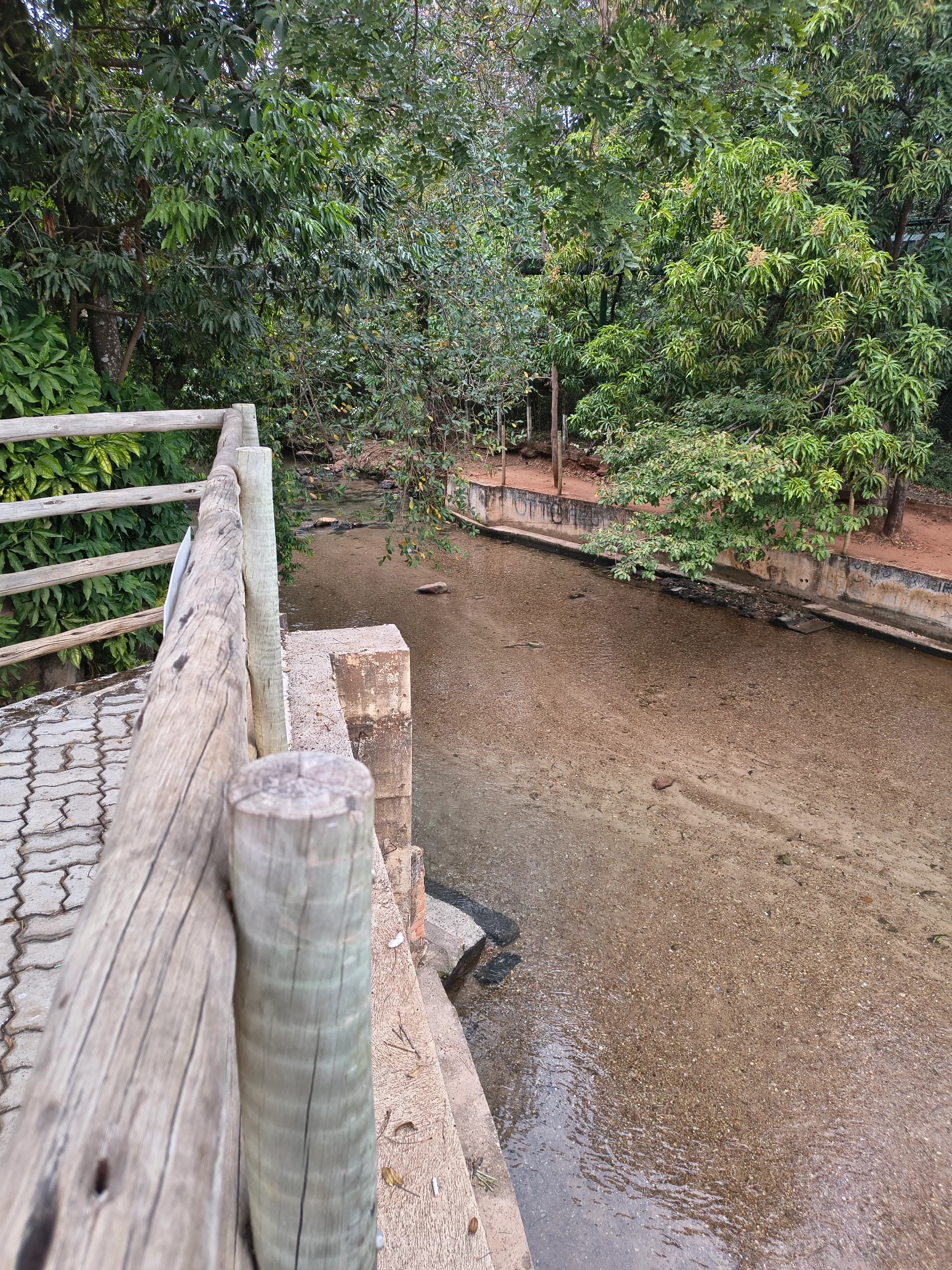 Esplanada Thermas Park: piscina natural de águas termais — foto 8