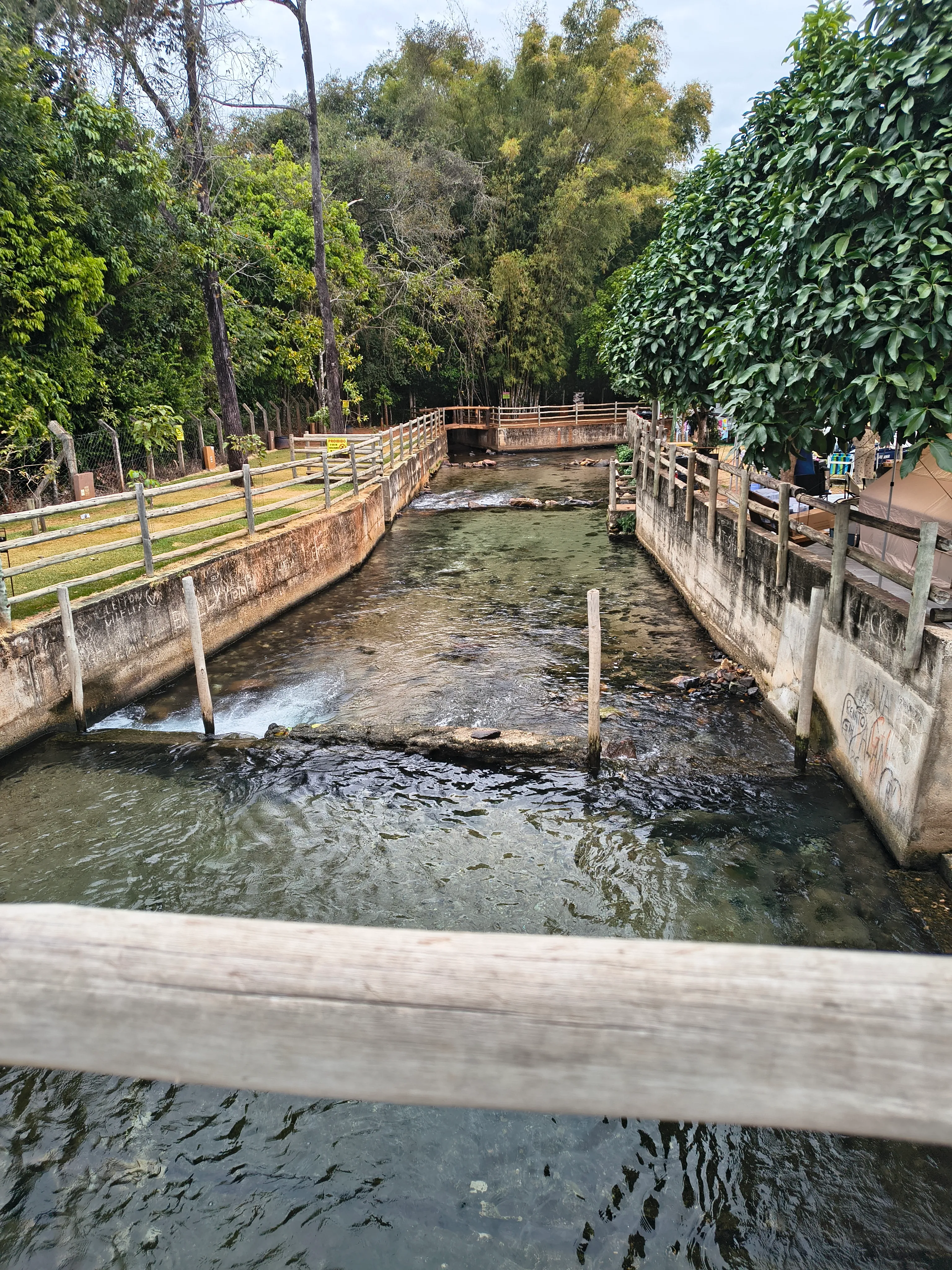 Esplanada Thermas Park: piscina natural de águas termais — foto 13