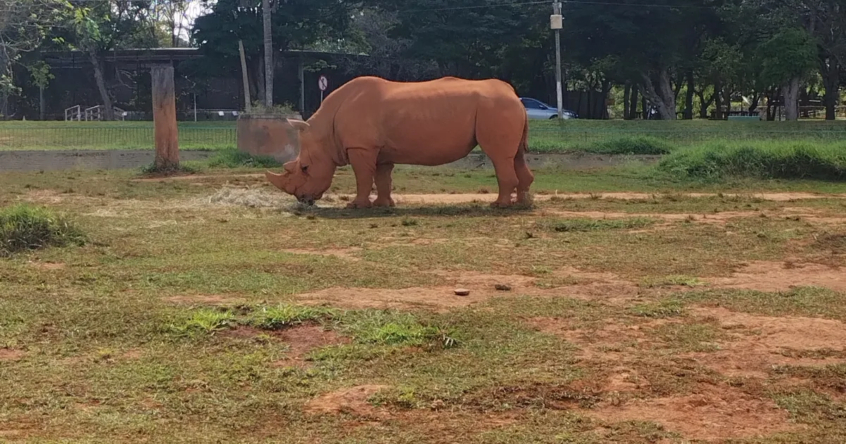 Zoológico de Brasília